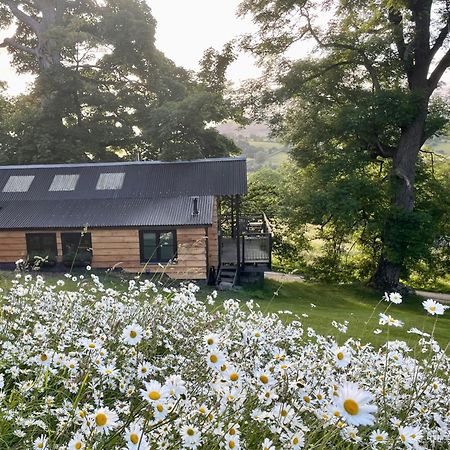 Faraway Follies Villa Llandegla Eksteriør billede
